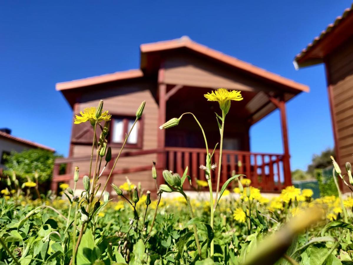 Camping Bungalow Serra De Prades Resort Vilanova de Prades Exteriér fotografie